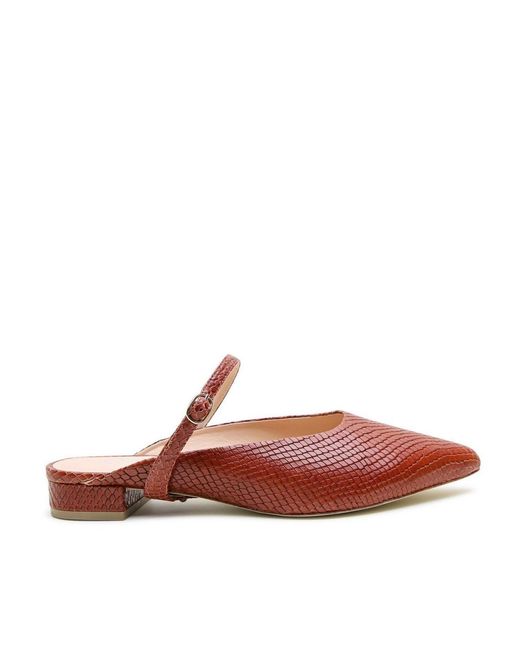 Alterre Brown twiggy Customizable Point Slide