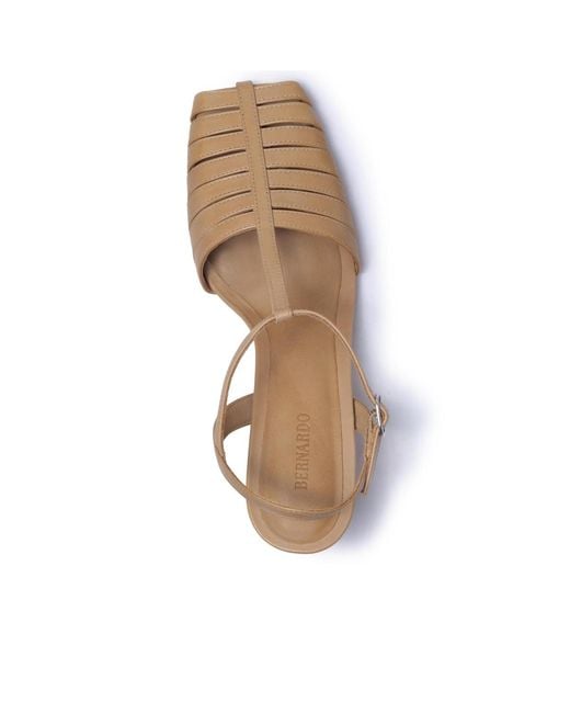 Bernardo Metallic Bernardo Peoria Caged Pump