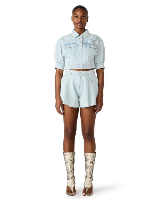 Steve Madden Blue Serafina Collared Jacket