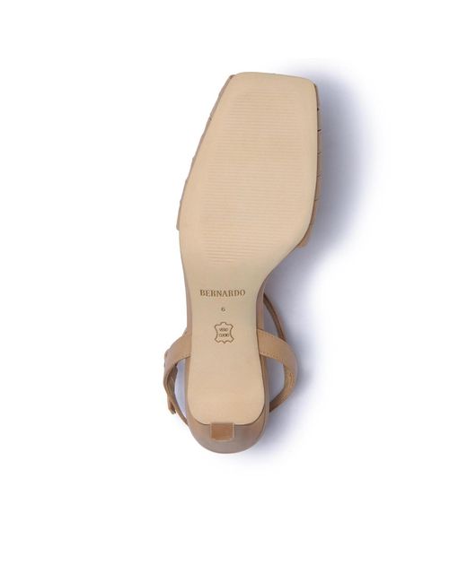 Bernardo Metallic Bernardo Peoria Caged Pump
