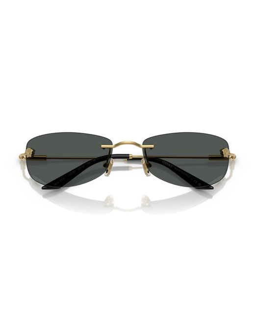 Versace Metallic Sunglasses Ve2279 for men