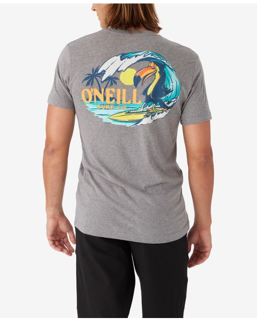 O'neill Sportswear Gray Bird Brain T-shirt for men