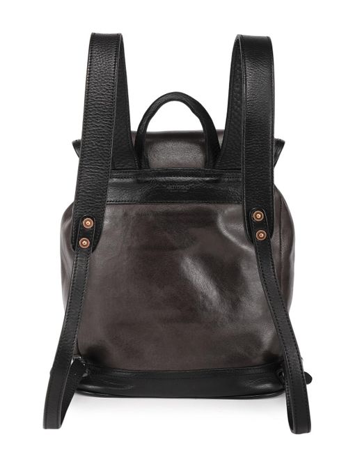 Old Trend Black Ficus Backpack