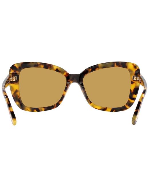 Tom Ford Brown Sunglasses