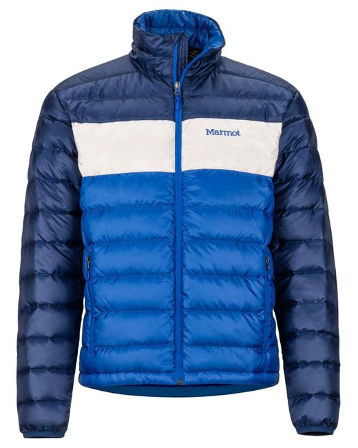 marmot puffer