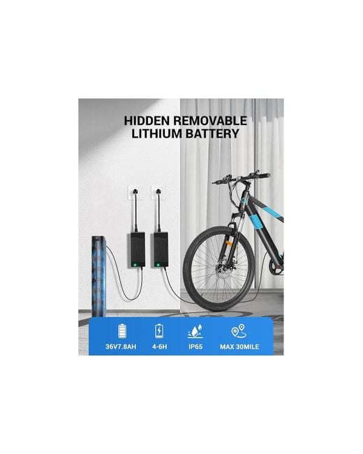 Multijoy Black Electric Bike For S