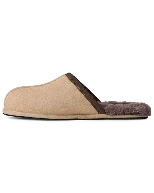 Ugg Brown Scuff Slippers for men