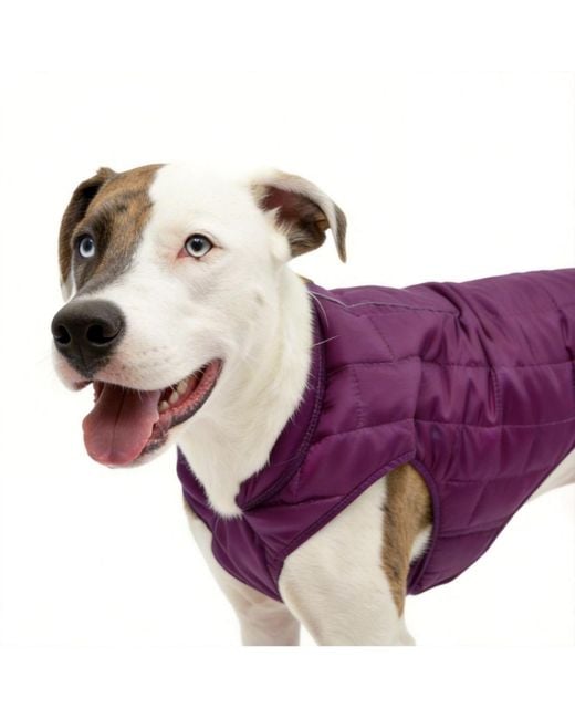 Aronkl Purple Loft Dog Jacket: Insulated