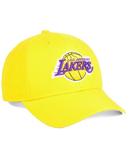 47 brand lakers