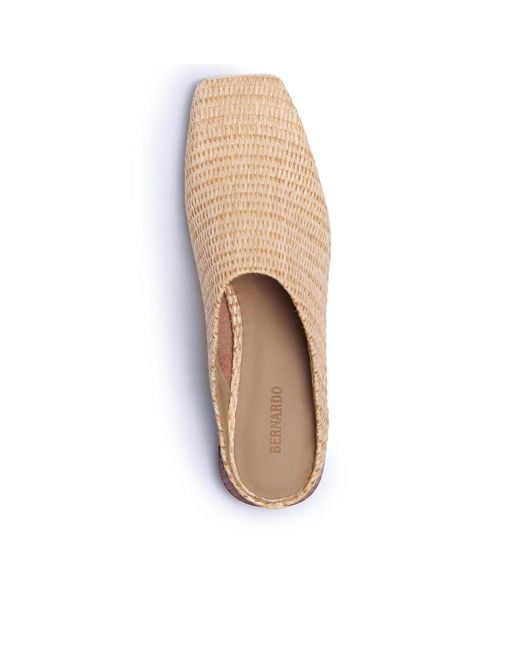 Bernardo Natural Porto Mule