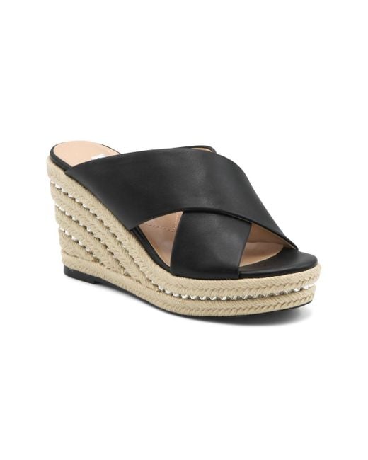 Charles David Black Cate-1