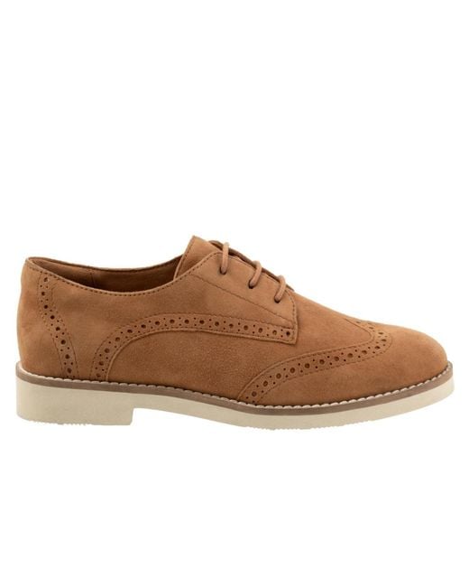 Softwalk® Brown Willet Flat
