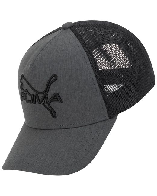 PUMA Gray 3d Embroidered Logo Cap for men