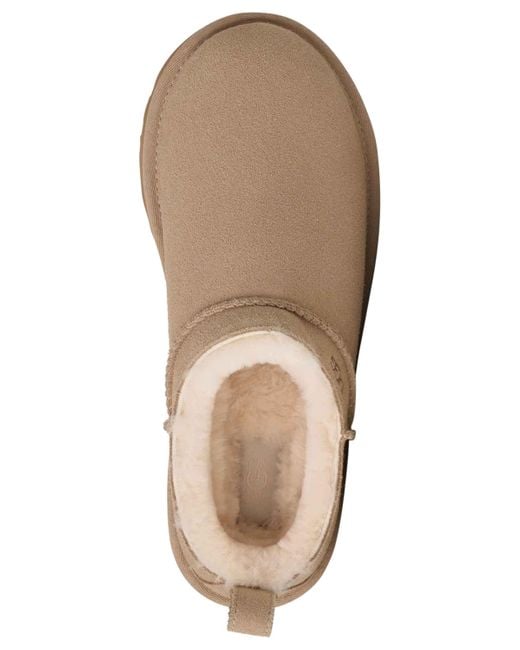 Ugg Brown Classic Micro Pull Tab Booties