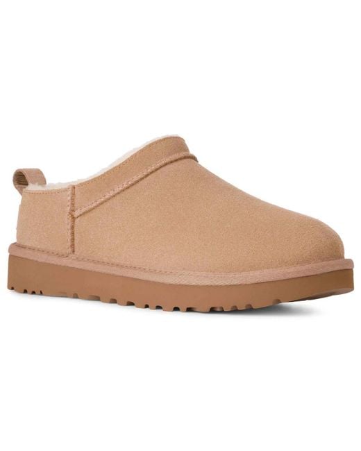Ugg Brown Classic Micro Pull Tab Booties