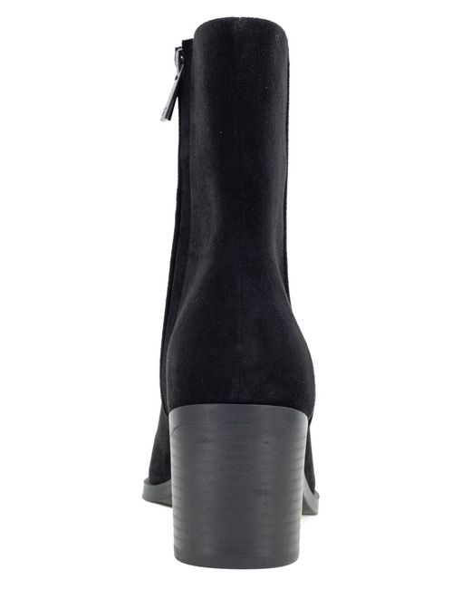 Splendid Black Sage