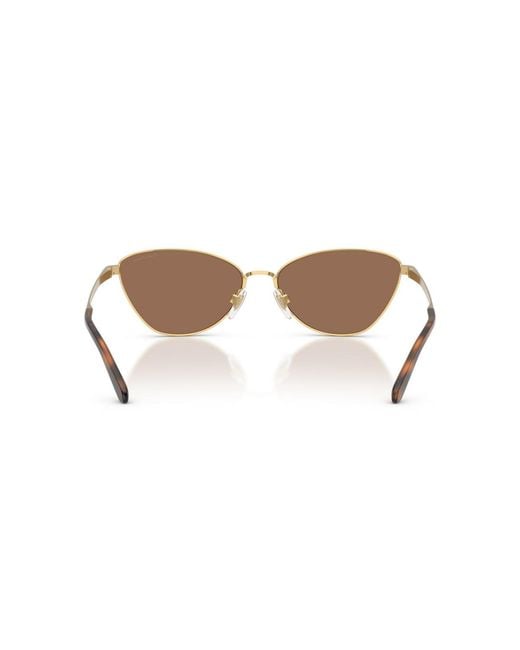 Ralph Lauren Brown Rectangle Sunglasses