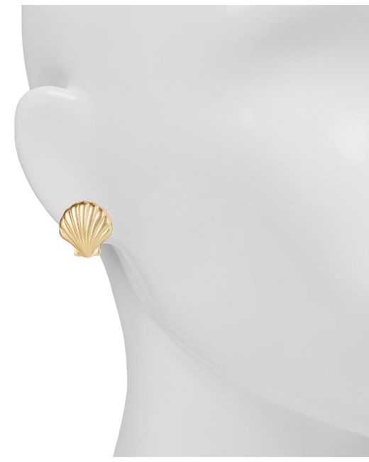 Patricia Nash Metallic Gold-tone Seashore Shell Stud Earrings