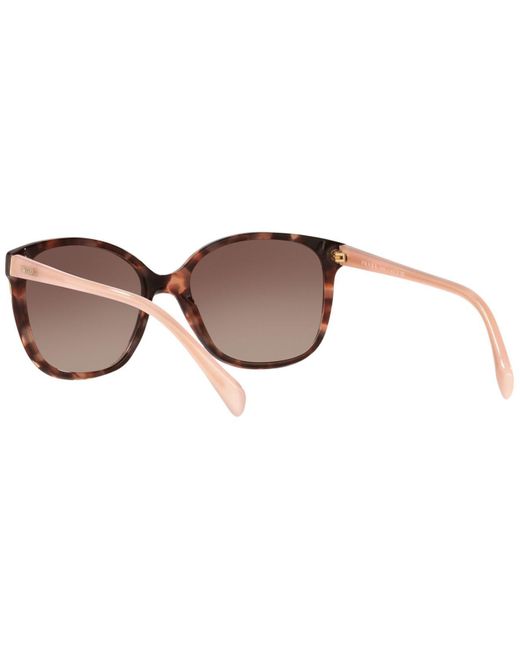 Prada Brown Sunglasses, Conceptual