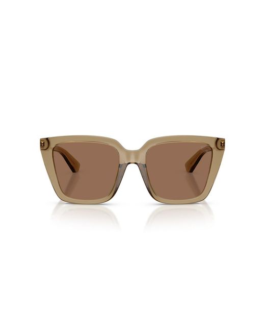 Burberry Brown Square Sunglasses