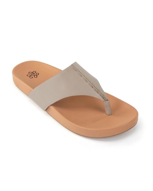 The Sak Multicolor Everly Al