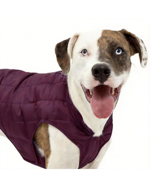 Aronkl Purple Loft Dog Jacket: Insulated
