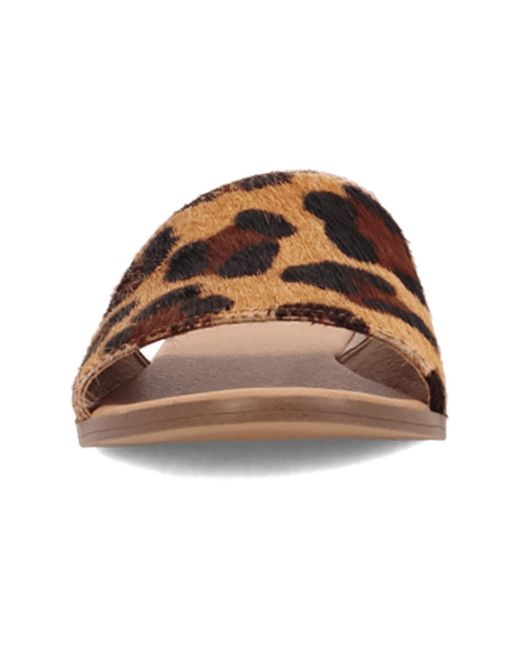 Dingo Brown Tabby Sandal