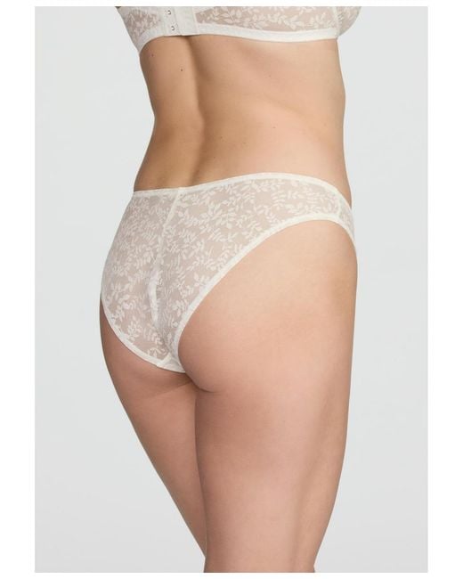 CUUP Natural The Bikini