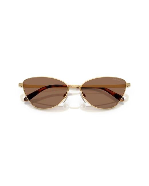 Ralph Lauren Brown Rectangle Sunglasses