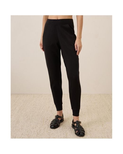 Pact Black Organic Cotton Airplane jogger