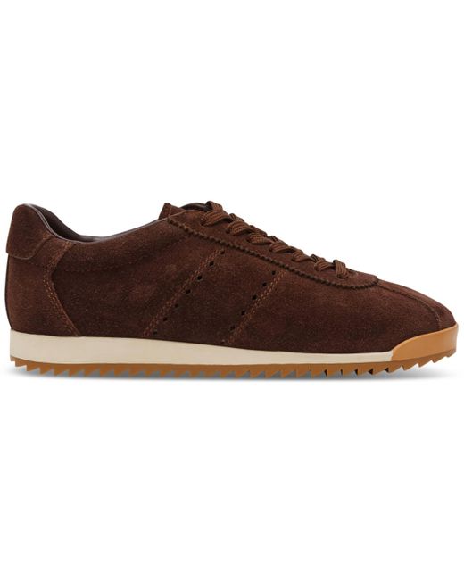 Steve Madden Brown Mirage Lace-up Sneakers