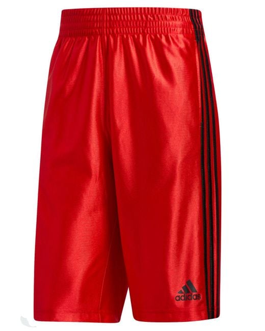 Adidas Red Dazzle Tricot 11" Shorts for men