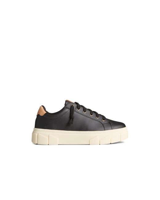 Sperry Top-Sider Black Winslow Round Toe Sneakers