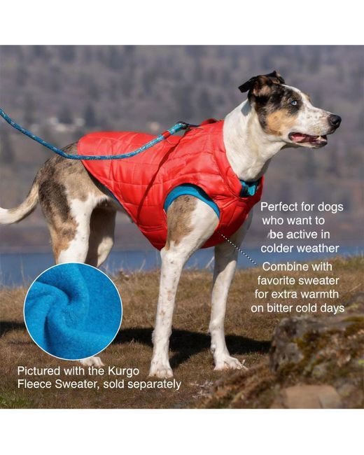 Aronkl Purple Loft Dog Jacket: Insulated