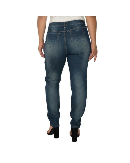 Standards & Practices Blue Basic 5 Pockets Style Skinny Jeans