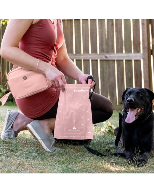 Puppington Pink 3-in-1 Crossbody Dog Walk Bag