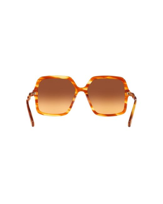 Chloé Brown Square Sunglasses