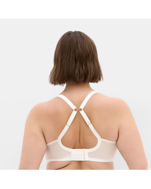 City Chic Natural Plus Size Ophelia Push Up Bra