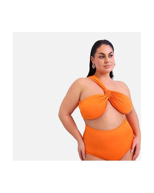 Rebdolls Red Plus Size Aqua High Waist Bikini Bottom