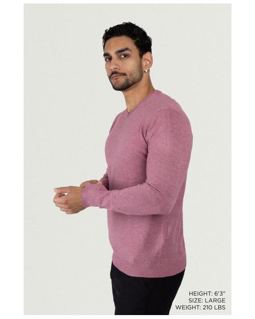 Xray Jeans Purple X-ray Basic V-neck Pullover Midweight Sweater for men