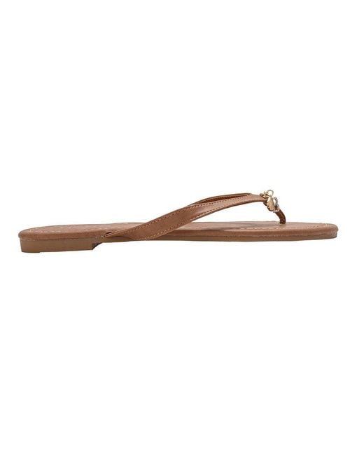 Bebe Brown S Flat Sandals