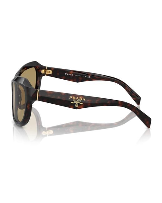 Prada Brown Swing Butterfly Sunglasses