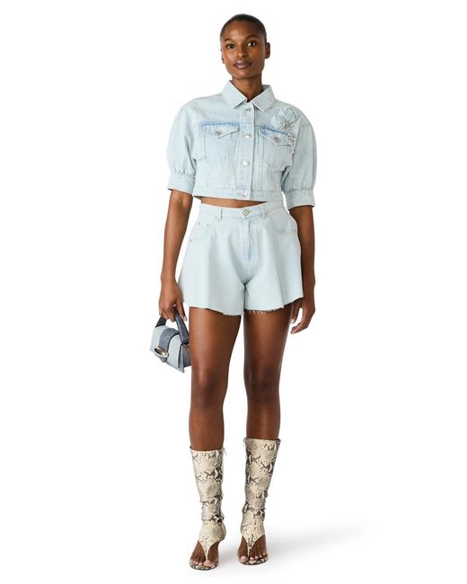 Steve Madden Blue Serafina Collared Jacket