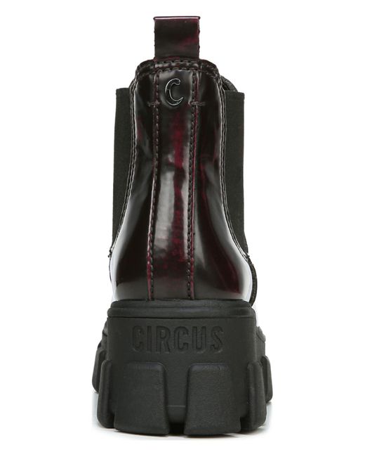 circus by sam edelman darielle bootie