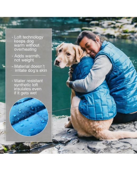 Aronkl Purple Loft Dog Jacket: Insulated