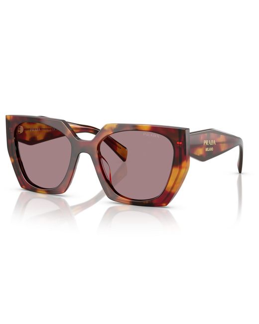 Prada Brown Sunglasses Pr 15ws