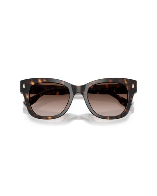 Tory Burch Brown Square Sunglasses
