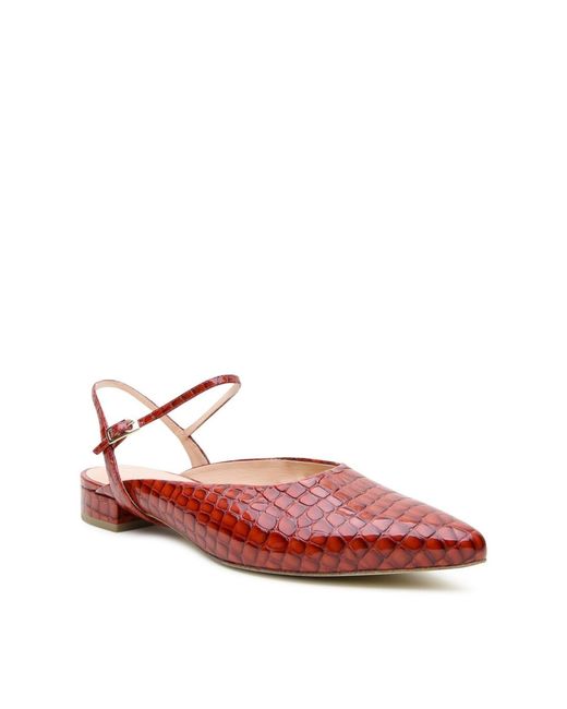 Alterre Red Amal Customizable Point Slides