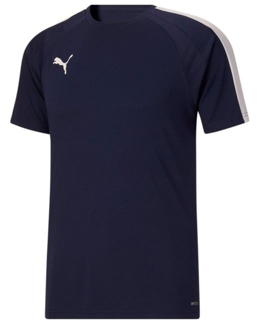 PUMA Speed Jersey Crewneck Short-sleeve Colorblocked Performance T-shirt in  Blue for Men | Lyst