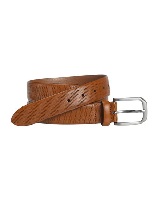 Johnston & Murphy Brown Micro Perf Belt for men
